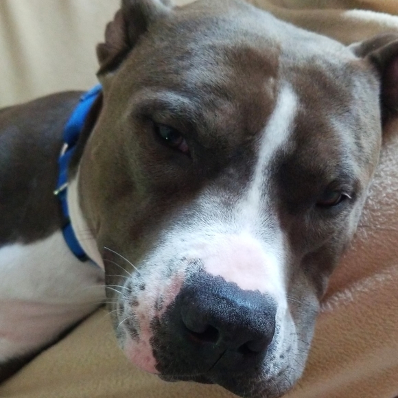 Meet your Posher, Brandi - Picture 6 of 12